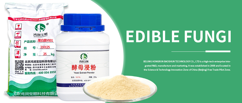 Edible Fungus Culture