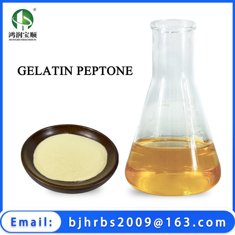 Gelatin Peptone