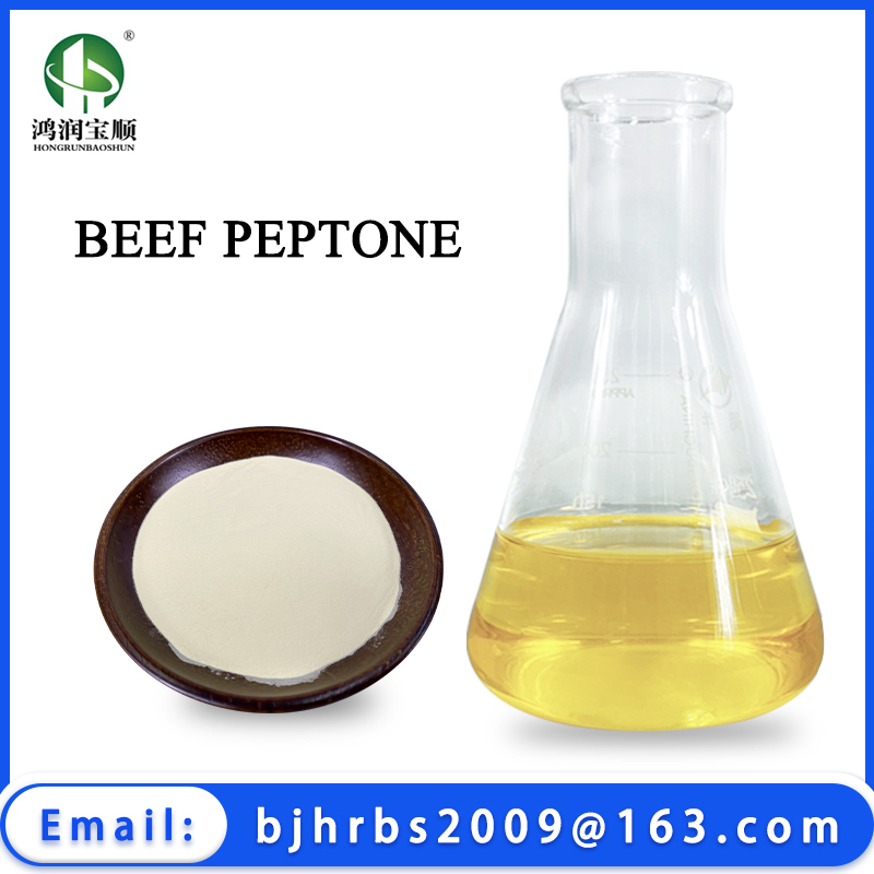 Beef Peptone