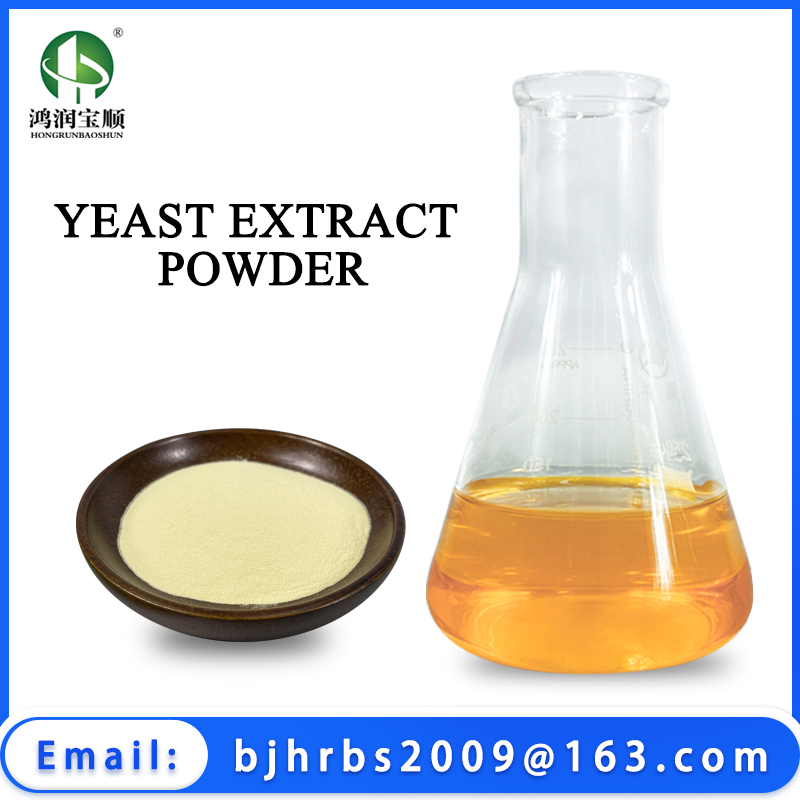 Yeast Extract Powder