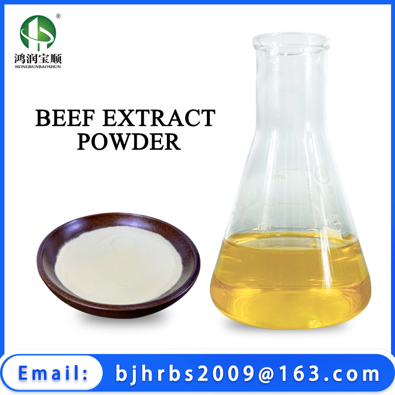 Beef Extract Powder