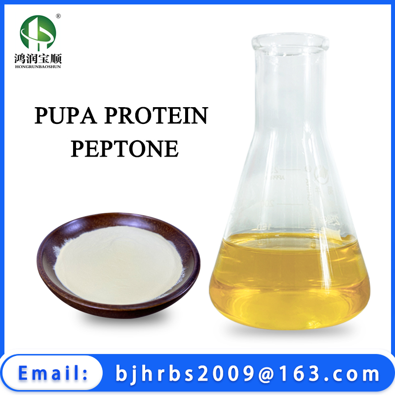 Silkworm Pupae Peptone